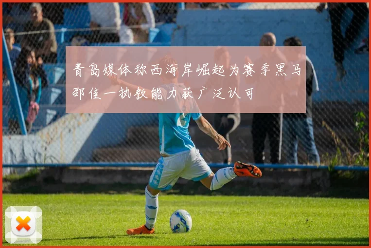 青岛媒体称西海岸崛起为赛季黑马邵佳一执教能力获广泛认可