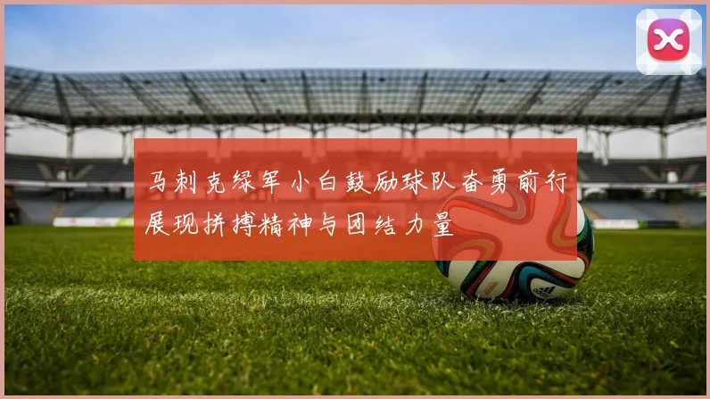 马刺克绿军小白鼓励球队奋勇前行展现拼搏精神与团结力量