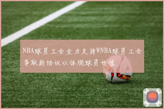 NBA球员工会全力支持WNBA球员工会争取新协议以体现球员价值