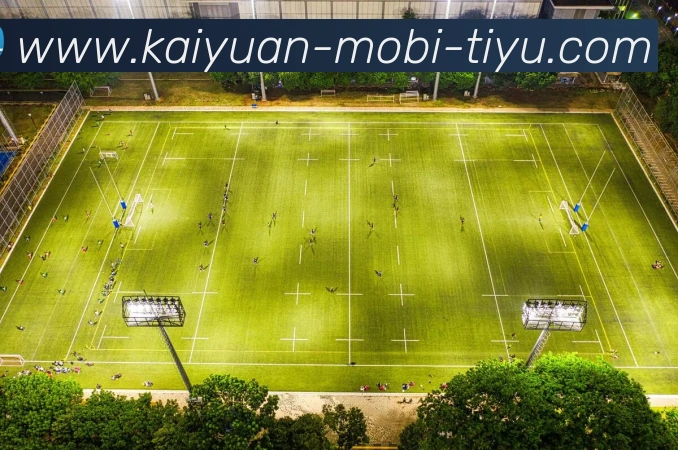 开元体育平台生态图