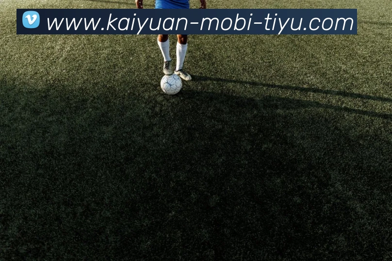 开元体育APP 封面图